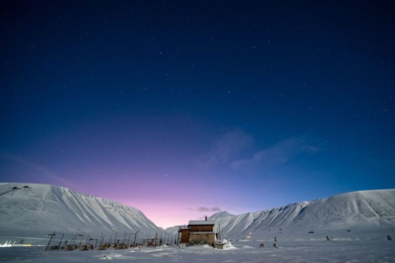 ピンク色の空とハスキー農場