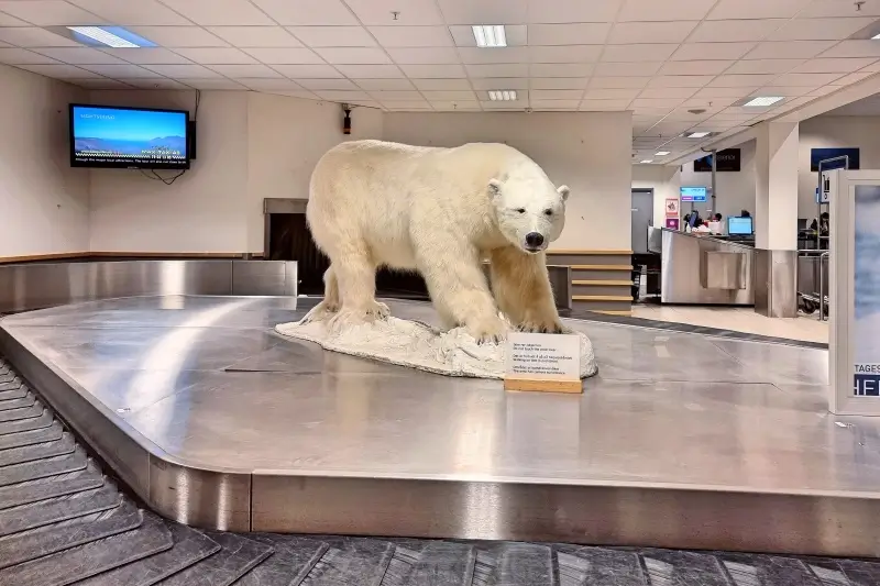 スヴァールバル空港到着ロビーにあるホッキョクグマ剥製