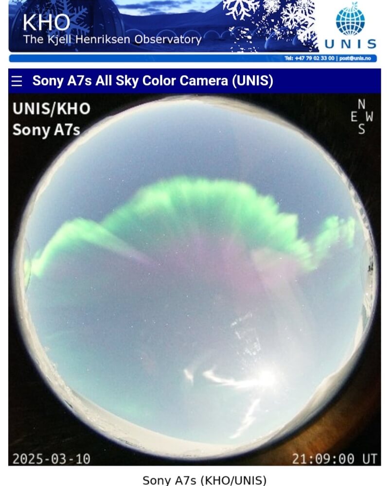 比較画像:月明かりが強い夜の例(空が明るく、淡い色が埋もれやすい)