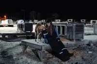 犬舎でハスキー犬と触れ合うオーロラツアーの参加者