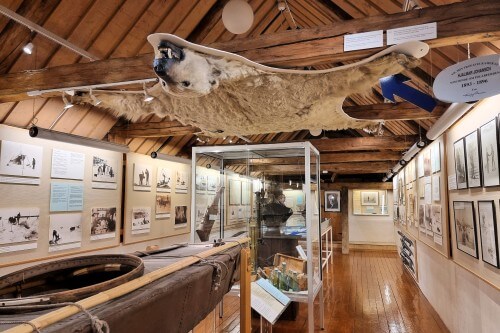 The Polar Museum 博物館