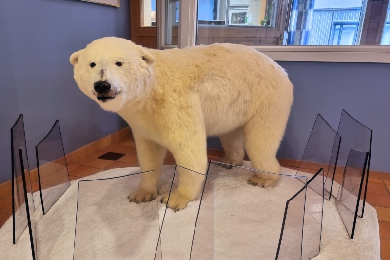 ロングイェールビーン病院の受付横にはホッキョクグマの剥製が置かれている