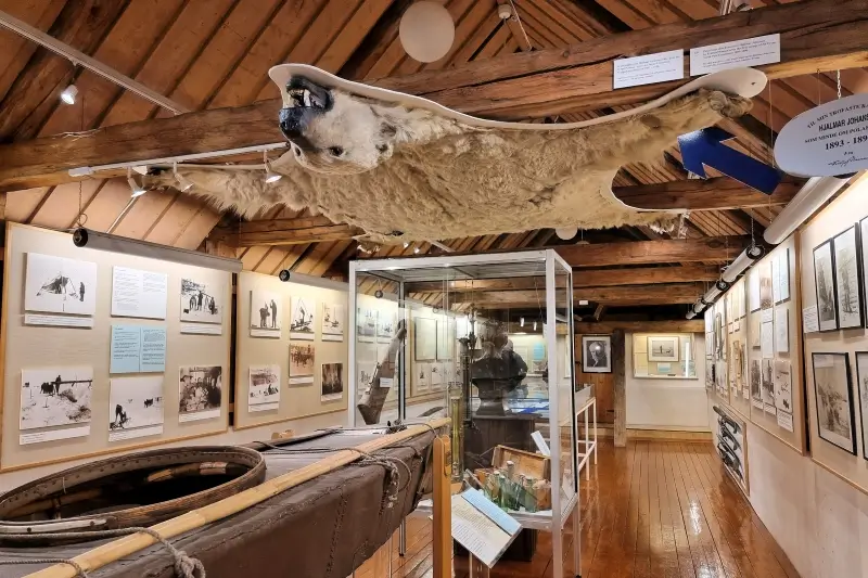 トロムソの北極圏博物館に展示されたホッキョクグマの毛皮と北極探検の資料