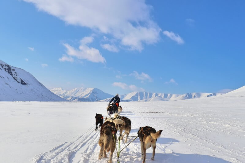 スヴァールバル諸島の雪景色を犬ぞりで駆け抜けるツアーガイド