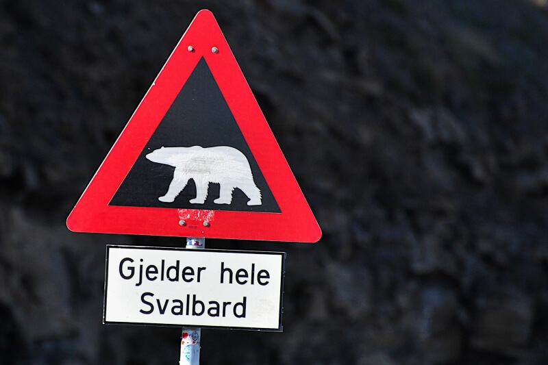 ロングイェールビーン町外れにあるホッキョクグマ注意標識