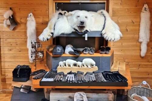 Skinnboden Arctic Products(雑貨店)では、店内にはアザラシやホッキョクグマ、ホッキョクギツネなどの革製品が並ぶ