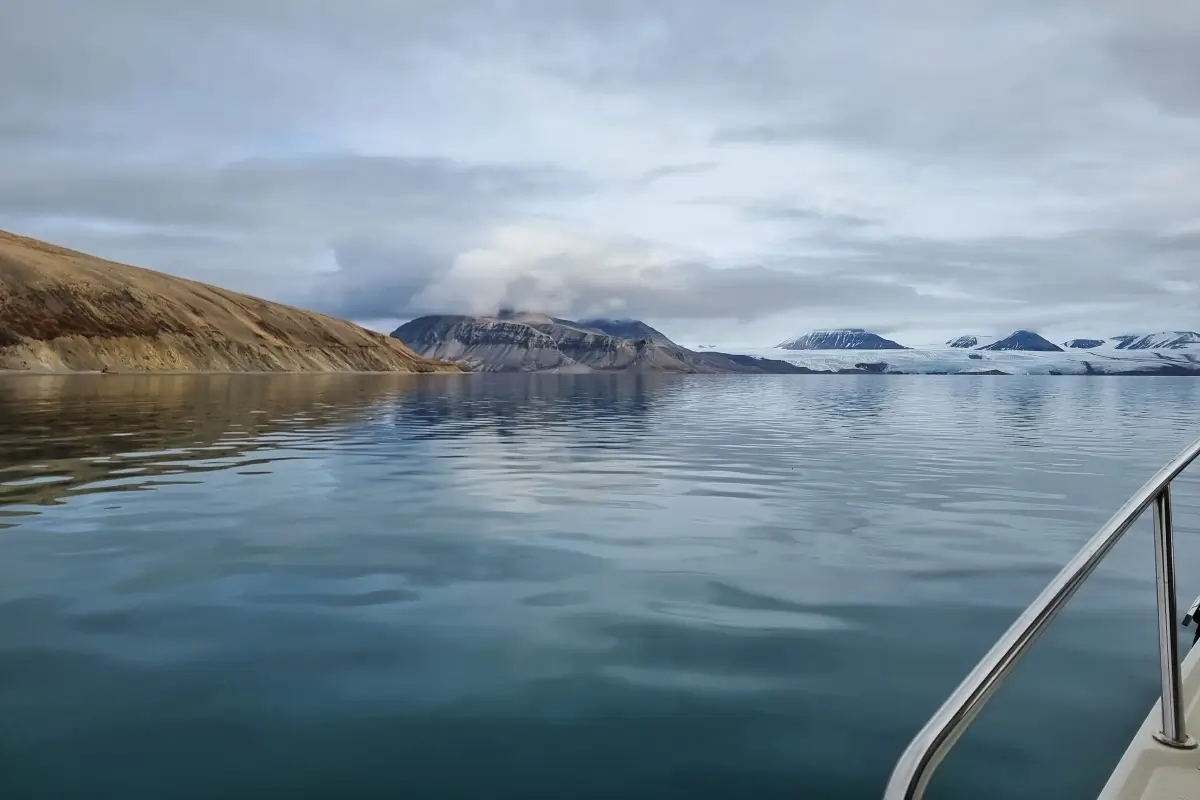 ボートから見たノルデンショルド氷河と穏やかなフィヨルド