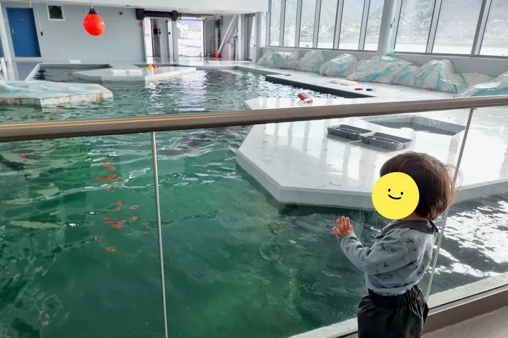 ポラリアのアザラシ用プールをガラス越しに眺める2歳の息子